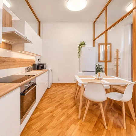 Apartman Mlynska 25 - Center *